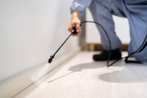 Bed Bug Pre-Treatment Preparation Assessment in Rosemount
