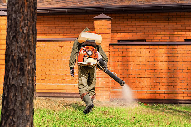 Bed Bug Clearance Verification and Documentation in Rosemount